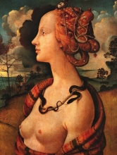 212/piero di cosimo - portrait of simonetta vespucci